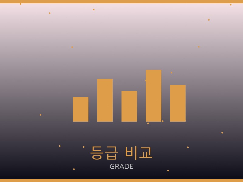 셀린느 레플리카 사이트 등급 기준 비교